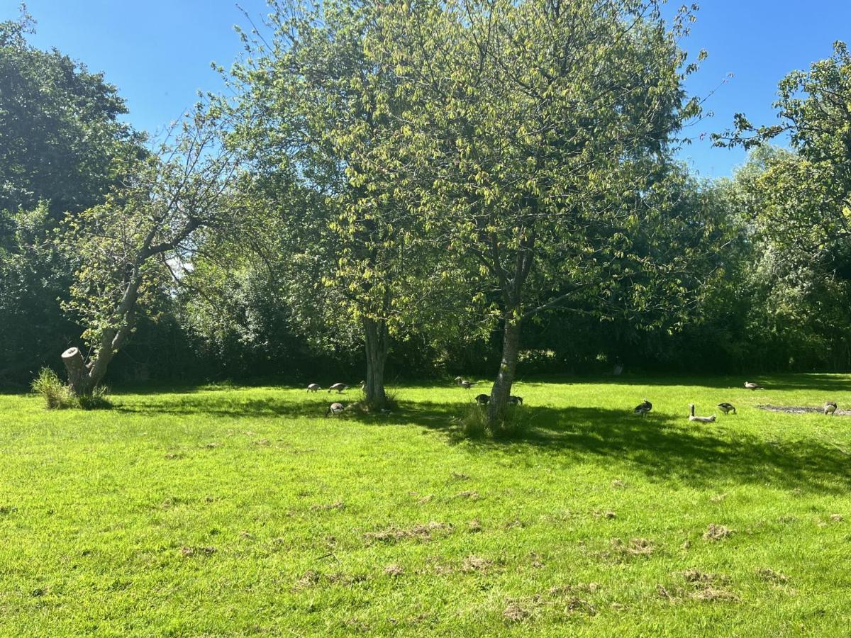 Adorable Two Bed Norfolk Broads Holiday Home - River Views With Moorings & Fishing Stalham Ngoại thất bức ảnh