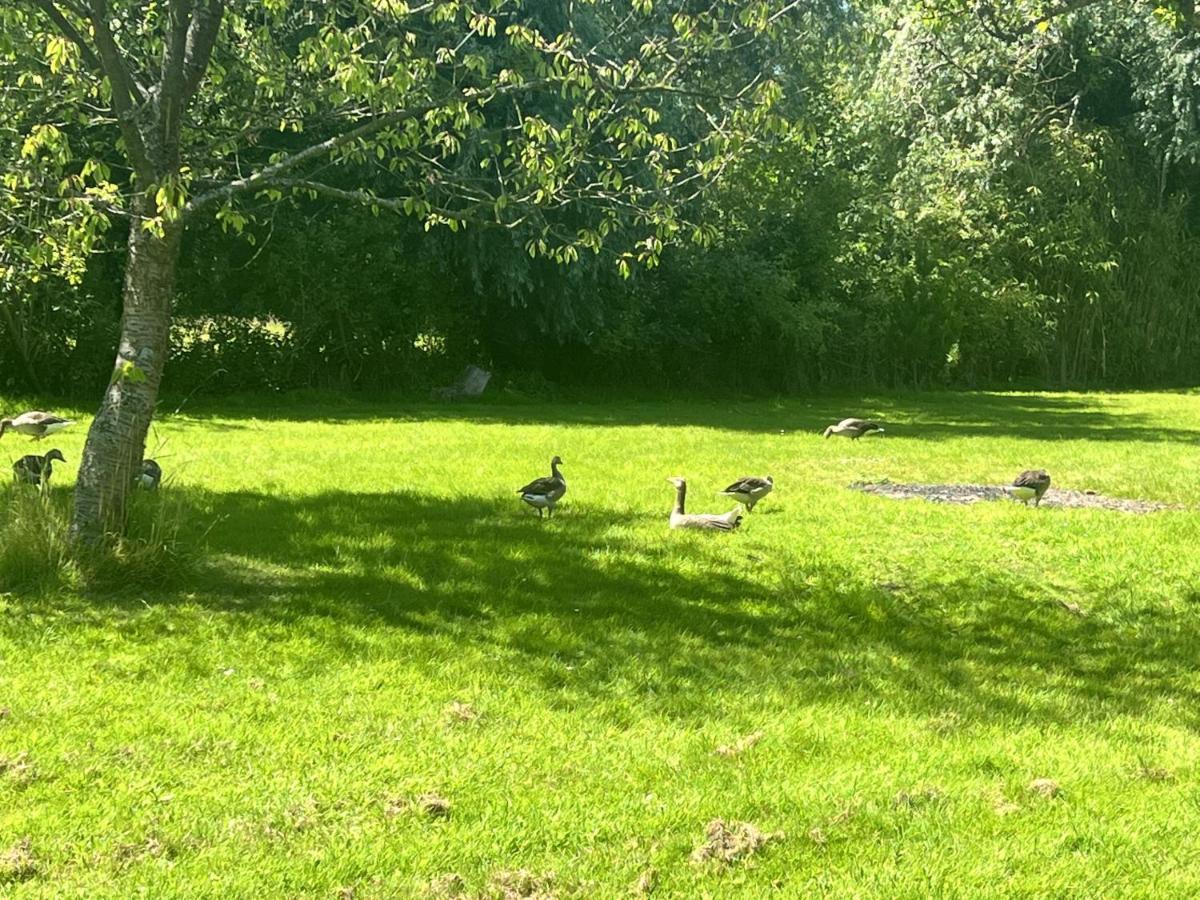 Adorable Two Bed Norfolk Broads Holiday Home - River Views With Moorings & Fishing Stalham Ngoại thất bức ảnh
